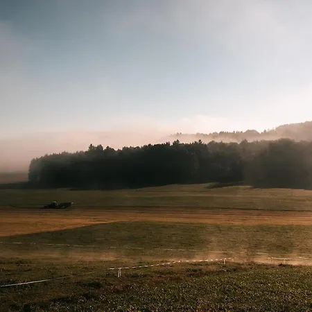 Individual Surrounded By Nature 公寓